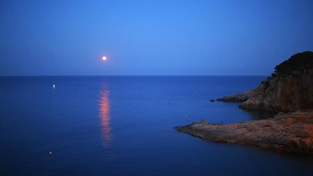 Appartement Apartaments Tee & Sea Santa Cristina d'Aro